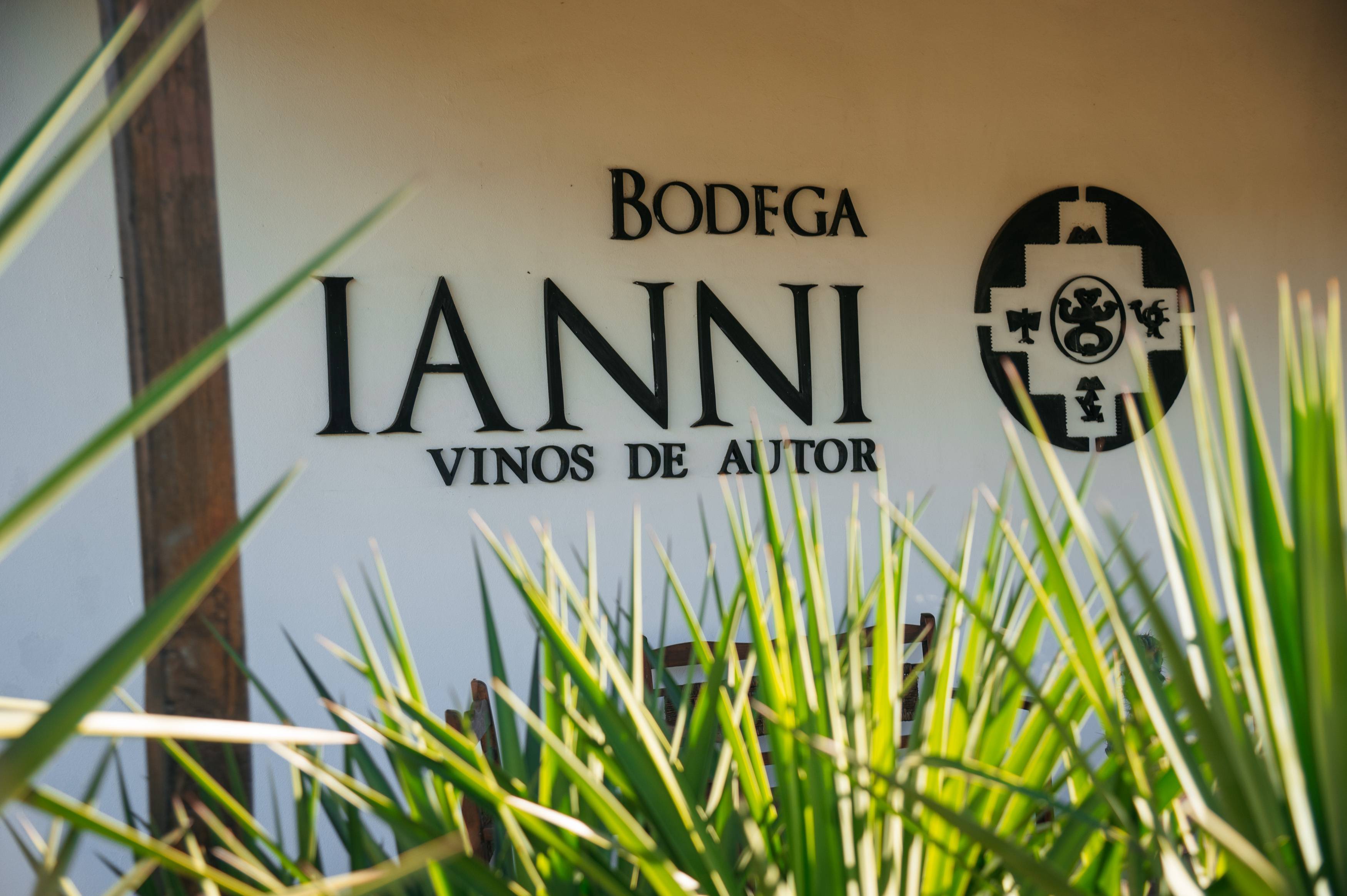 Bodega Ianni